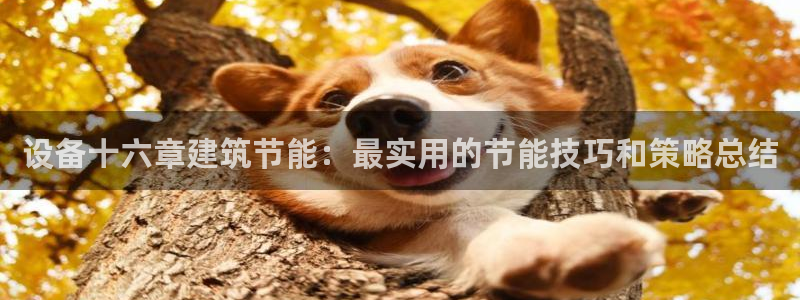 e尊体育：设备十六章建筑节能：最实用的节能技巧和策略总结