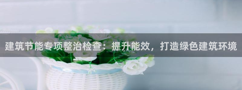 e尊国际官网app：建筑节能专项整治检查：提升能效，打造绿色建筑环境