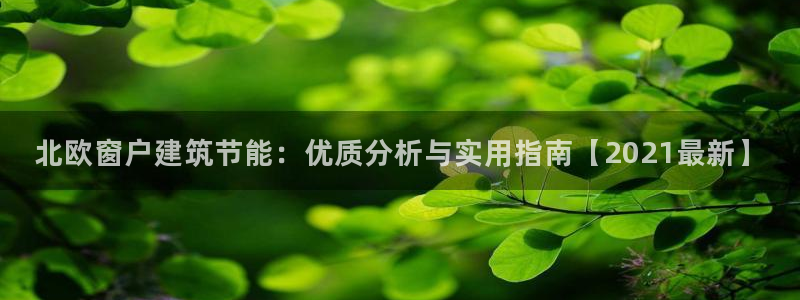 e尊国际-可可计划：北欧窗户建筑节能：优质分析与实用指南【2021最新】