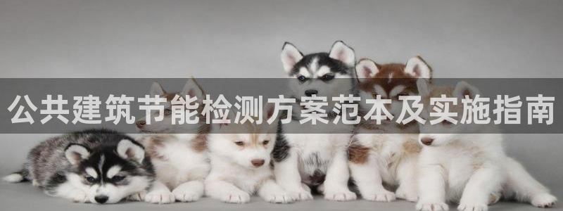 e尊国际app
