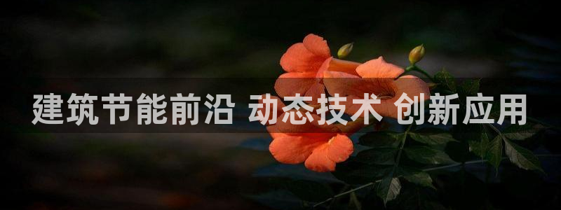 尊亿游戏国际官网