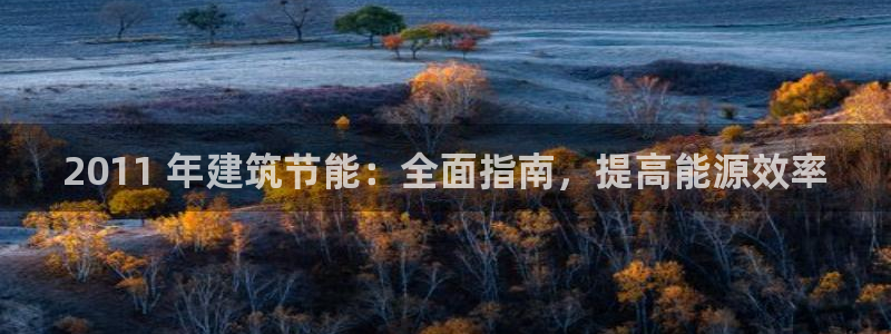 尊亿娱乐国际官网：2011 年建筑节能：全面指南，提高能源效率