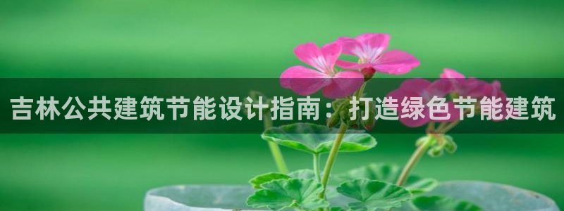 e尊国际-e尊国际官网