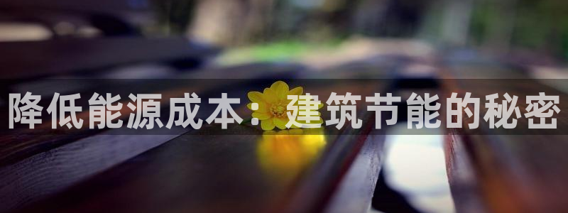e尊国际官网app：降低能源成本：建筑节能的秘密