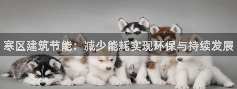 e尊平台：寒区建筑节能：减少能耗实现环保与持续发展