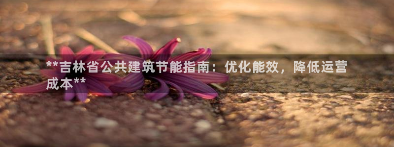 尊亿游戏国际官网：**吉林省公共建筑节能指南：优化能效，降低运营
成本**