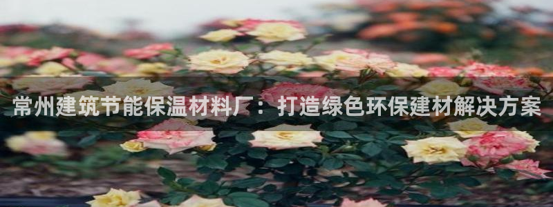 E尊国际网站