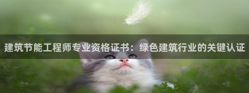 E尊国际