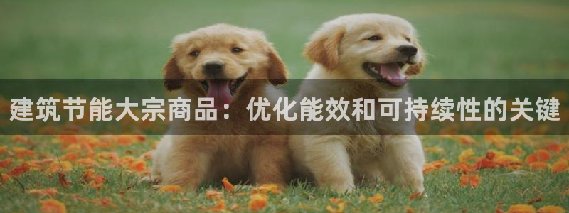 e尊国际客户端：建筑节能大宗商品：优化能效和可持续性的关键