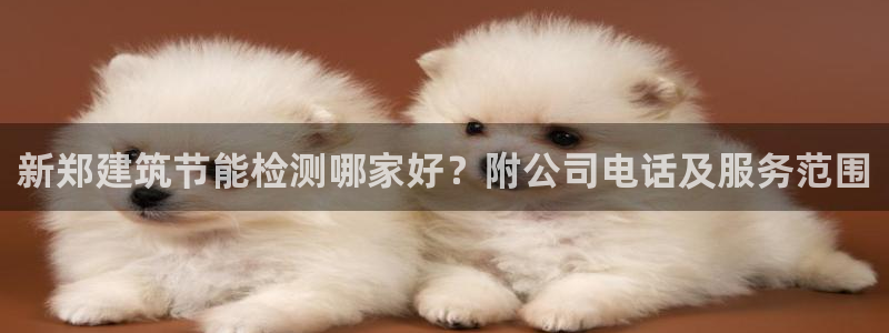 e尊体育：新郑建筑节能检测哪家好？附公司电话及服务范围
