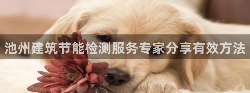 e尊国际官网：池州建筑节能检测服务专家分享有效方法