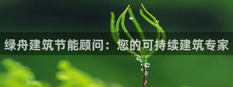 e尊国际娱乐官网地址：绿舟建筑节能顾问：您的可持续建筑专家