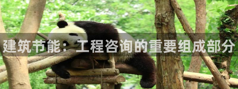 e尊国际客户端下载：建筑节能：工程咨询的重要组成部分