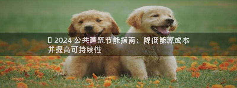 e尊国际客户端下载：✅ 2024 公共建筑节能指南：降低能源成本
并提高可持续性
