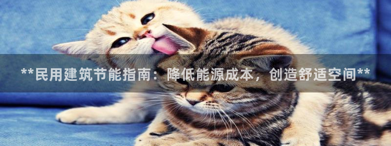 e尊国际网址：**民用建筑节能指南：降低能源成本，创造舒适空间**