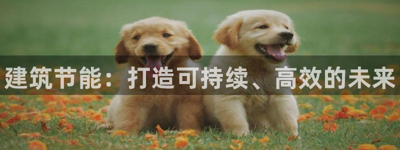 尊亿游戏国际官网：建筑节能：打造可持续、高效的未来