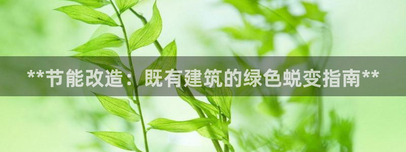 e尊国际客服：**节能改造：既有建筑的绿色蜕变指南**