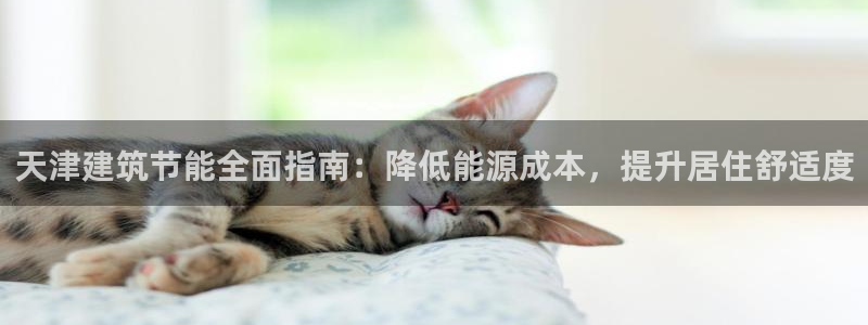 e尊国际娱乐官网地址：天津建筑节能全面指南：降低能源成本，提升居住舒适度