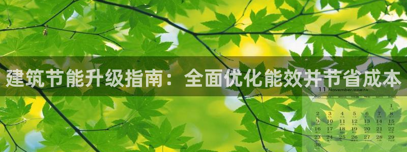 e尊国际-可可计划：建筑节能升级指南：全面优化能效并节省成本