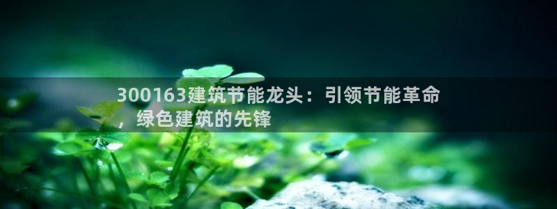 e尊国际官方网站：300163建筑节能龙头：引领节能革命
，绿色建筑的先锋