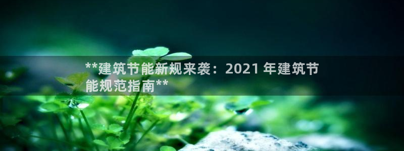 e尊国际娱乐官网下载：**建筑节能新规来袭：2021 年建筑节
能规范指南**