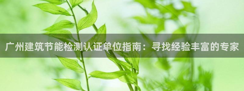 e尊国际官网：广州建筑节能检测认证单位指南：寻找经验丰富的专家