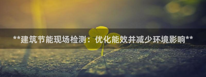 e尊国际官网·网址：**建筑节能现场检测：优化能效并减少环境影响**