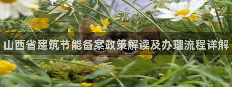 e尊国际-可可计划：山西省建筑节能备案政策解读及办理流程详解