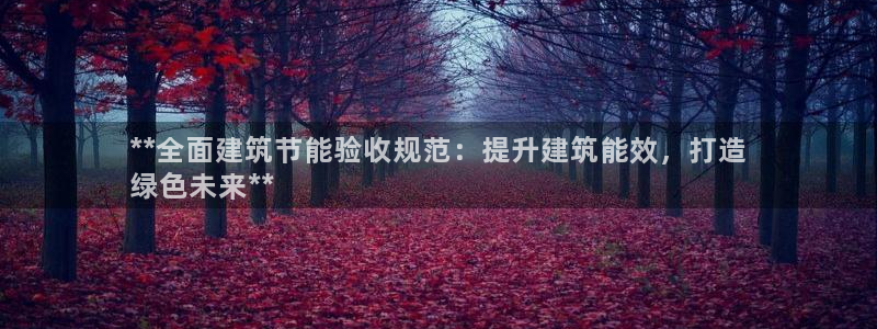 e尊国际客服：**全面建筑节能验收规范：提升建筑能效，打造
绿色未来**