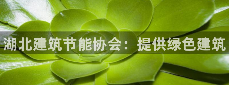 e尊国际app：湖北建筑节能协会：提供绿色建筑