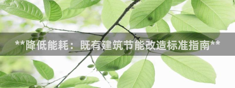 E尊国际网站：**降低能耗：既有建筑节能改造标准指南**