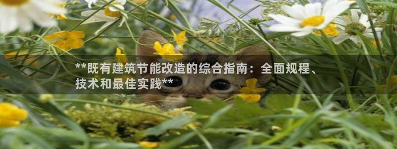 e尊国际平台：**既有建筑节能改造的综合指南：全面规程、
技术和最佳实践**