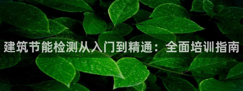 尊亿娱乐国际官网：建筑节能检测从入门到精通：全面培训指南
