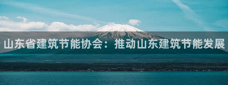 E尊国际网站：山东省建筑节能协会：推动山东建筑节能发展