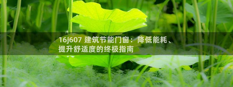 e尊国际可靠吗：16j607 建筑节能门窗：降低能耗、
提升舒适度的终极指南