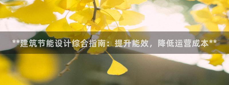 e尊体育：**建筑节能设计综合指南：提升能效，降低运营成本**