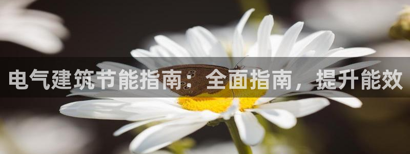 e尊平台：电气建筑节能指南：全面指南，提升能效