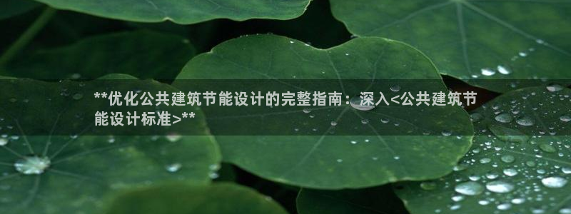 e尊电竞：**优化公共建筑节能设计的完整指南：深入<公共建筑节
能设计标准>**