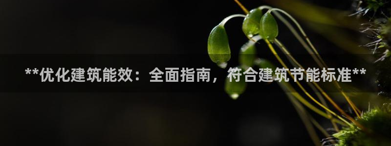 尊亿游戏国际官网：**优化建筑能效：全面指南，符合建筑节能标准**