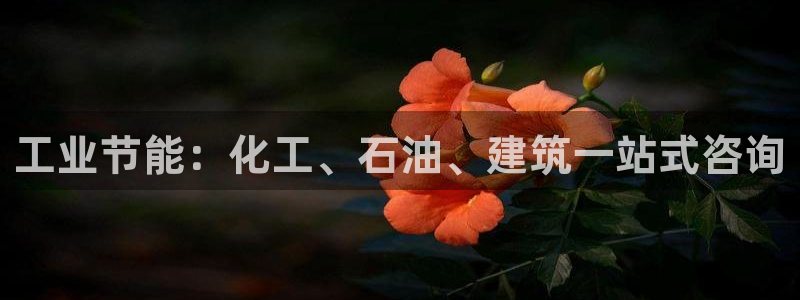 e尊官网：工业节能：化工、石油、建筑一站式咨询