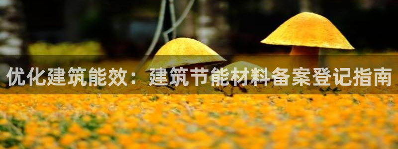 e尊平台：优化建筑能效：建筑节能材料备案登记指南