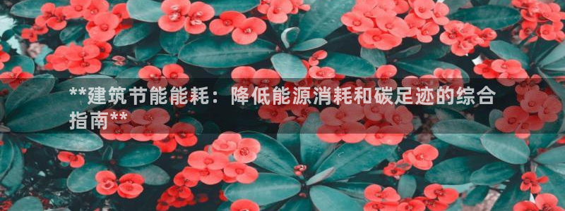 e尊官网：**建筑节能能耗：降低能源消耗和碳足迹的综合
指南**