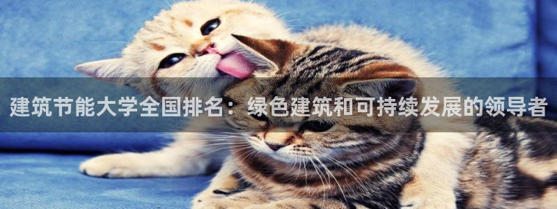 e尊国际-可可计划：建筑节能大学全国排名：绿色建筑和可持续发展的领导者