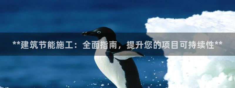 e尊平台：**建筑节能施工：全面指南，提升您的项目可持续性**
