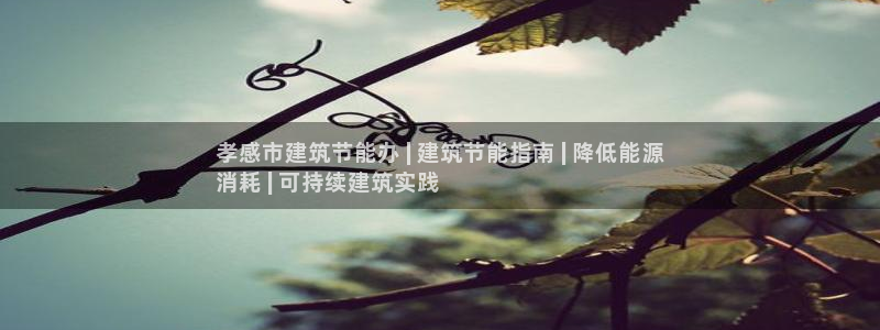 e尊国际是干什么的：孝感市建筑节能办 | 建筑节能指南 | 降低能源
消耗 | 可持续建筑实践