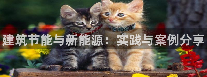 谁知道e尊国际的网址：建筑节能与新能源：实践与案例分享