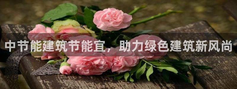e尊国际是干什么的：中节能建筑节能宜，助力绿色建筑新风尚