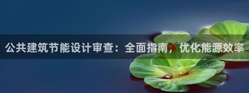 e尊体育：公共建筑节能设计审查：全面指南，优化能源效率