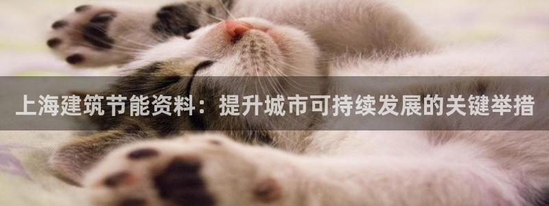 e尊国际娱乐官网下载：上海建筑节能资料：提升城市可持续发展的关键举措