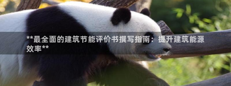 e尊国际的手机登录网站：**最全面的建筑节能评价书撰写指南：提升建筑能源
效率**